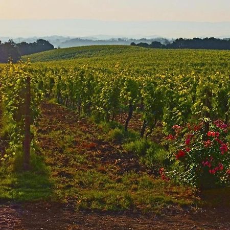 Agriturismo Fattoria Il Piano - Appartamento Focolare - San Gimignano Dış mekan fotoğraf