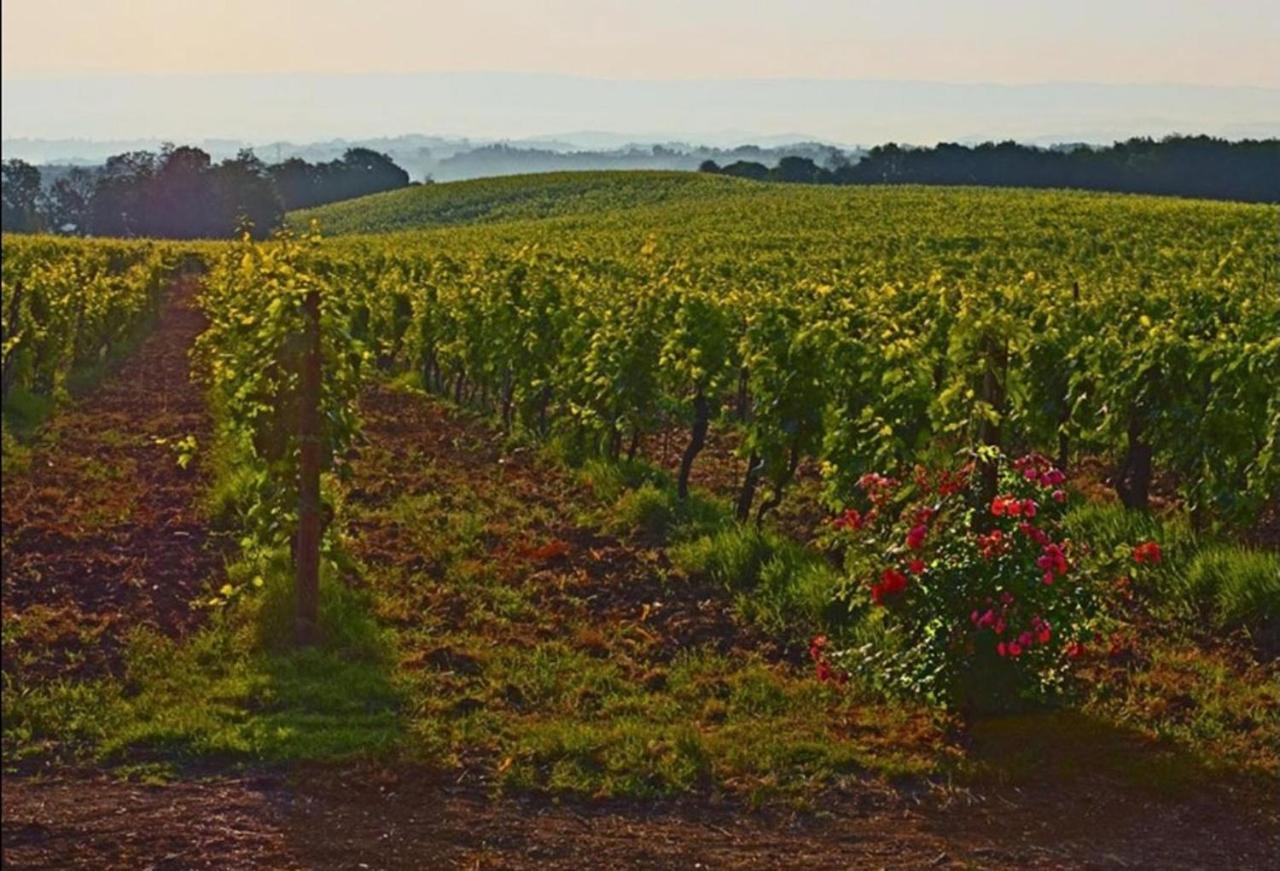 Agriturismo Fattoria Il Piano - Appartamento Focolare - San Gimignano Dış mekan fotoğraf