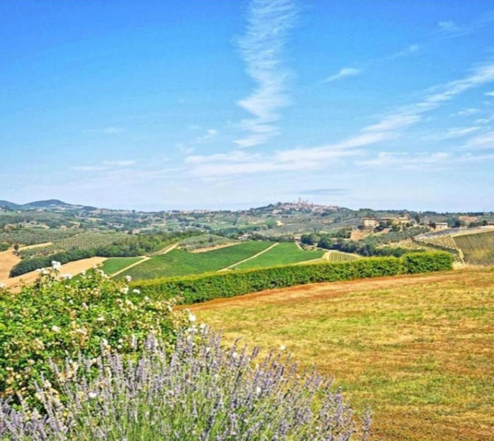 Agriturismo Fattoria Il Piano - Appartamento Focolare - San Gimignano Dış mekan fotoğraf