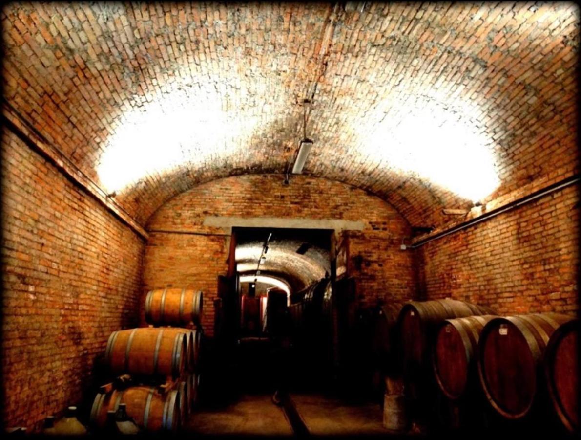 Agriturismo Fattoria Il Piano - Appartamento Focolare - San Gimignano Dış mekan fotoğraf