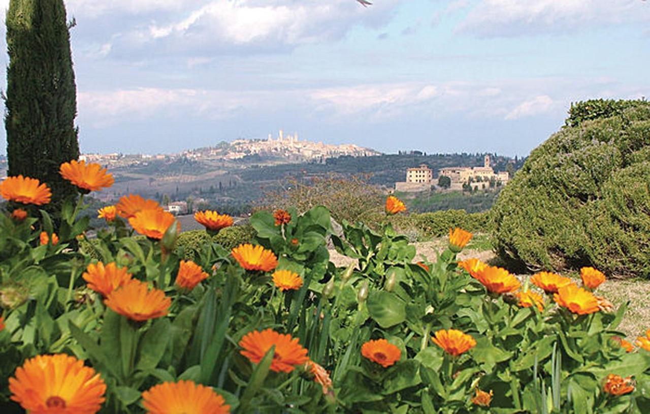 Agriturismo Fattoria Il Piano - Appartamento Focolare - San Gimignano Dış mekan fotoğraf