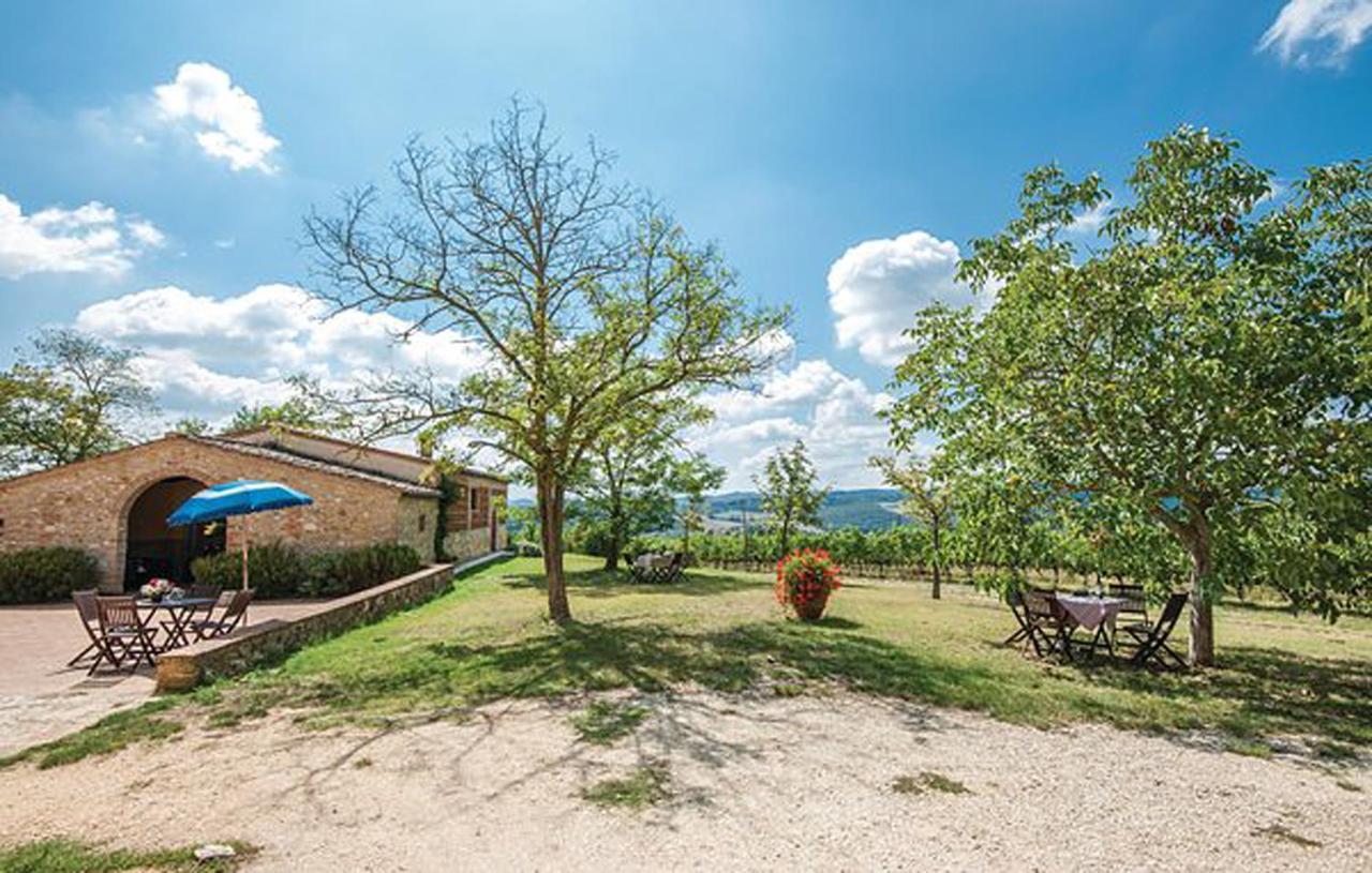 Agriturismo Fattoria Il Piano - Appartamento Focolare - San Gimignano Dış mekan fotoğraf